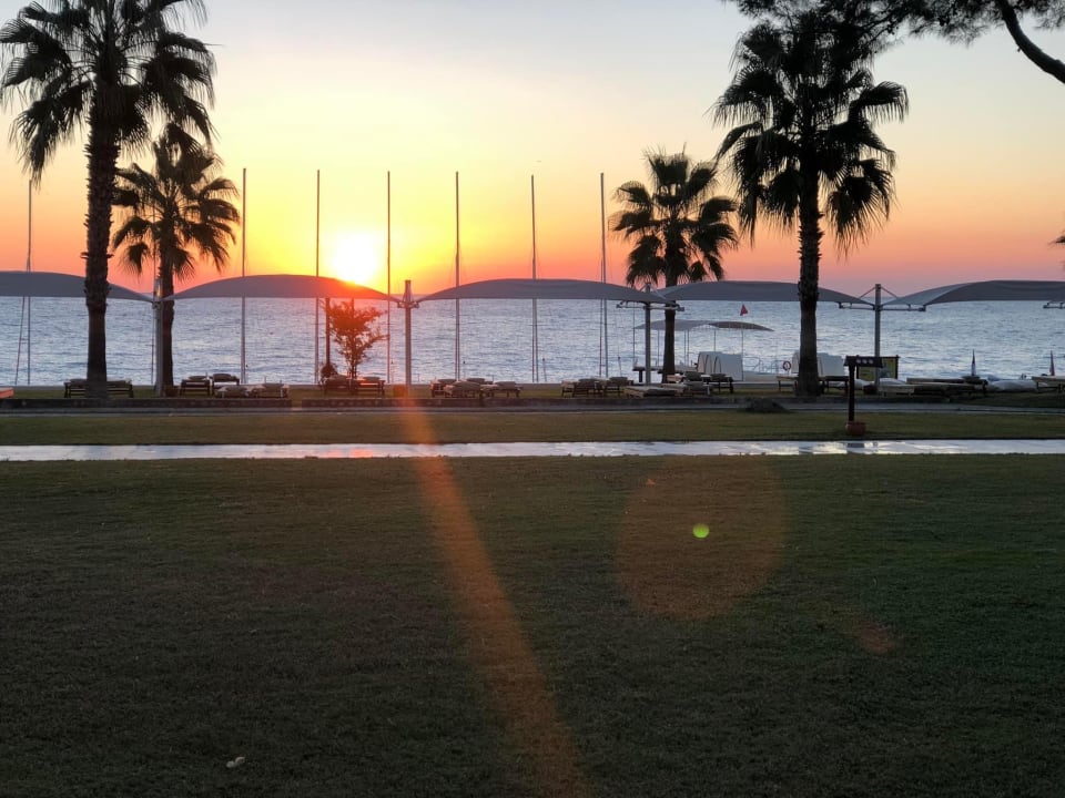 Strand ROBINSON ÇAMYUVA