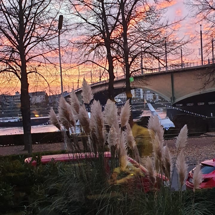 Ausblick Dorint Hotel Bonn