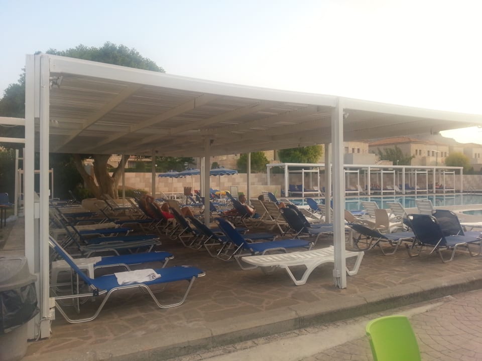 Pool Delfinia Resort