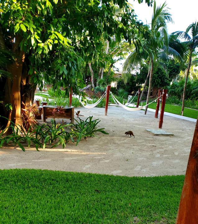 Ausblick Akumal Bay Beach & Wellness Resort