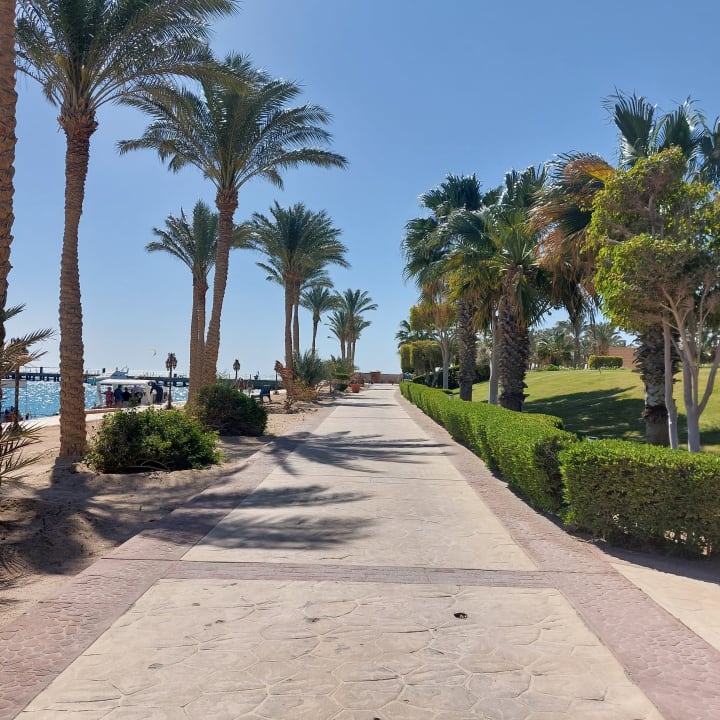 Strand Palm Royale Resort - Soma Bay