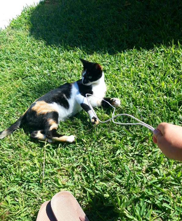 Sonstiges El Mehdi Beach Resort