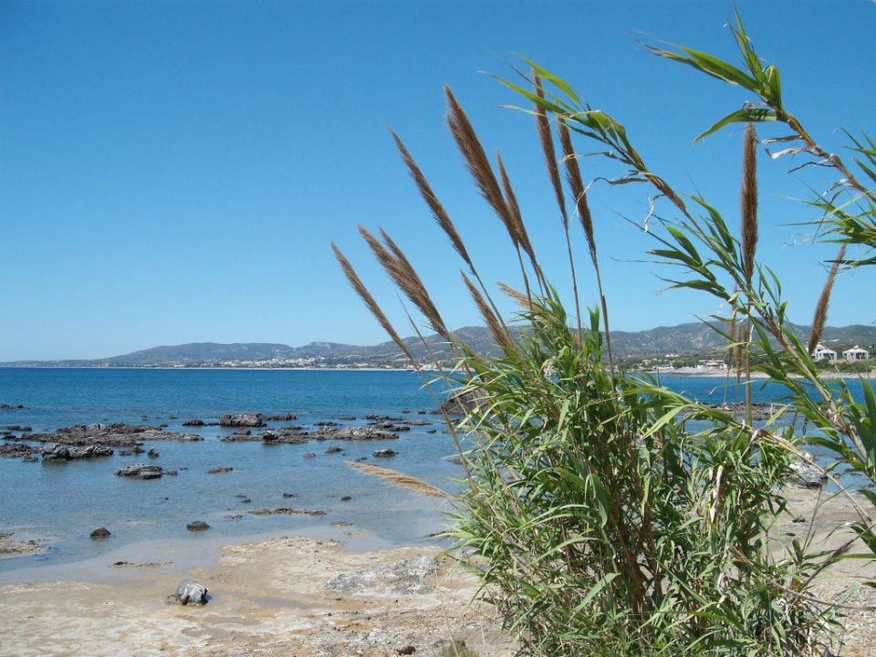 am Strand Mitsis Rodos Village