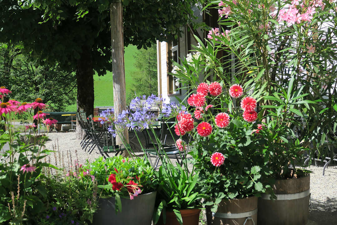 Gartenanlage Hotel Alpenhof Weisstannen