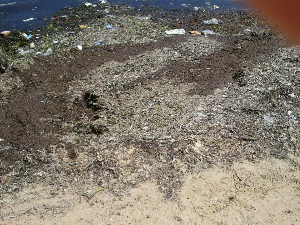 Schmutz Marhaba Royal Salem