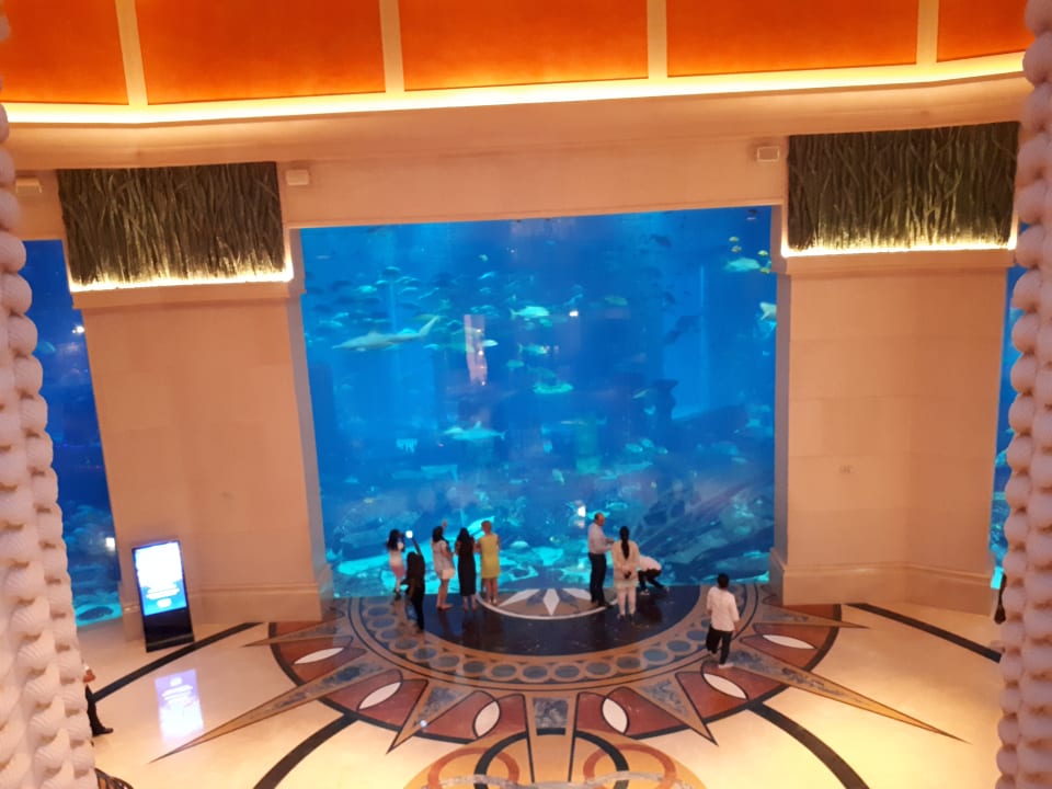Sport & Freizeit Atlantis, The Palm