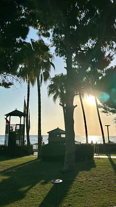 Gartenanlage Acanthus Cennet Barut Collection