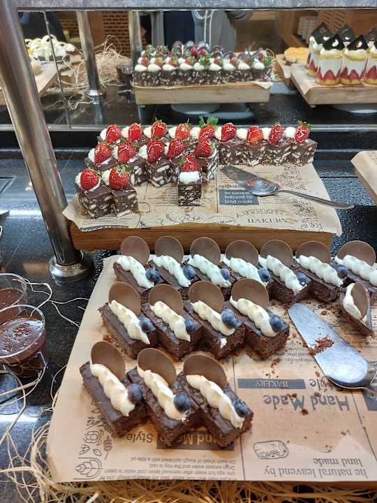 Gastro Seashell Vega