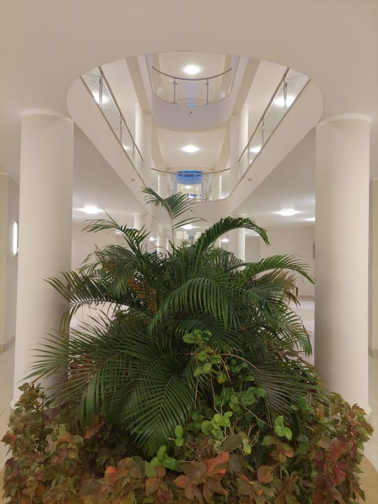 Sonstiges Sirena Beach Resort & Spa