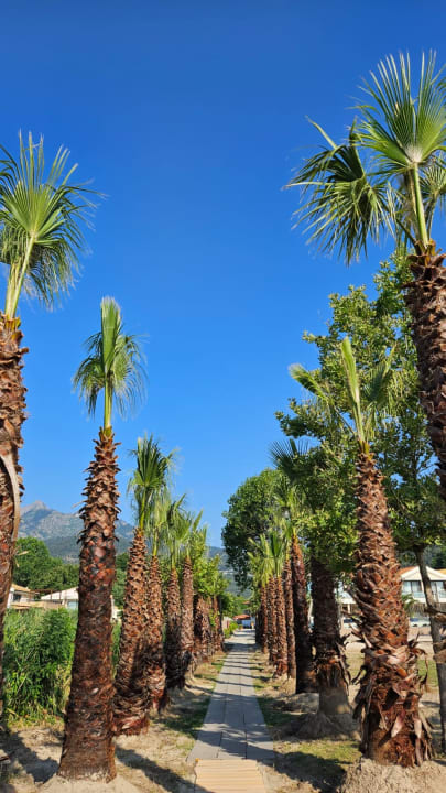 Gartenanlage Alexandra Golden Boutique - Adults only