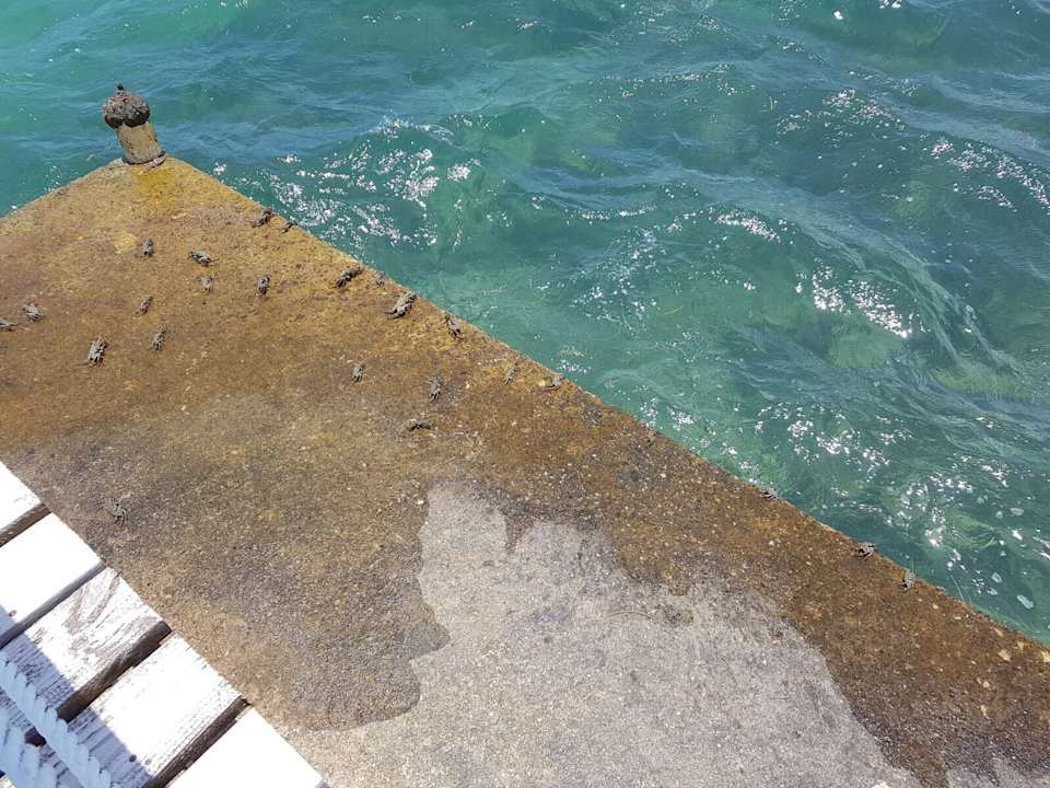 Strand Grand Muthu Club Caribbean Runaway Bay