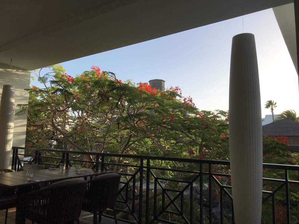 Gartenanlage allsun App.-Hotel Albatros