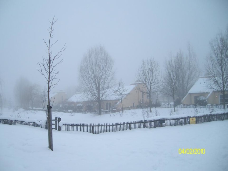 Blick auf die Teiche Center Parcs Park Hochsauerland