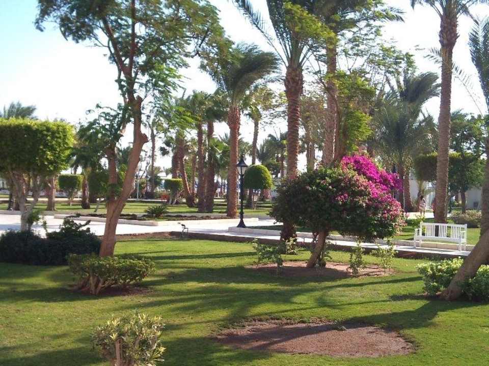 Blick von der Zimmerterrasse mit Strand und Meer The Grand Hotel Hurghada