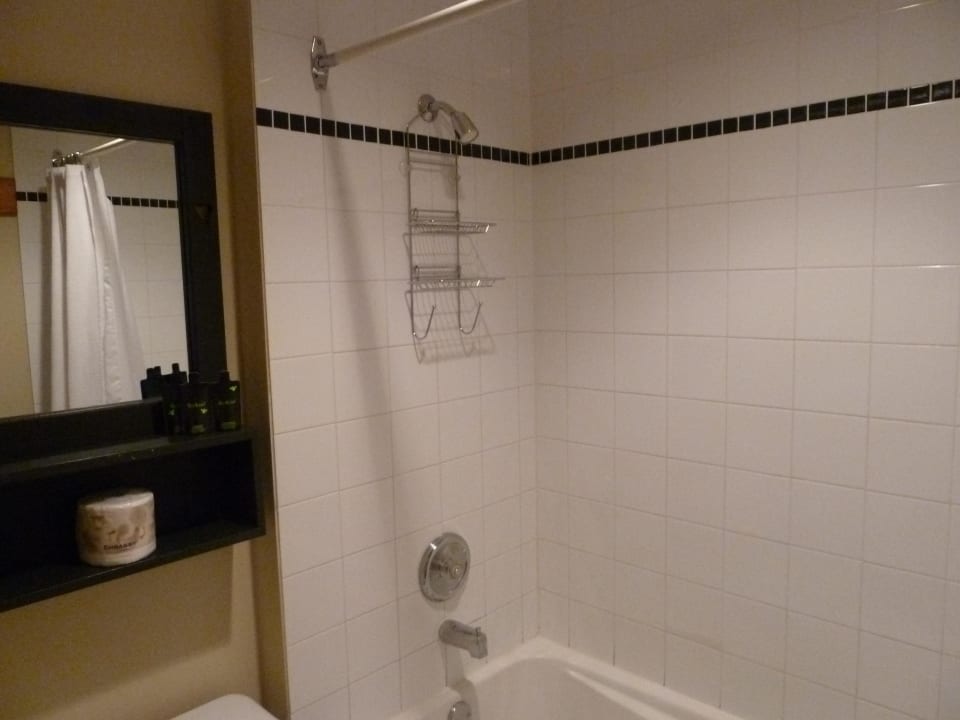 Bad Hotel Middle Beach Lodge