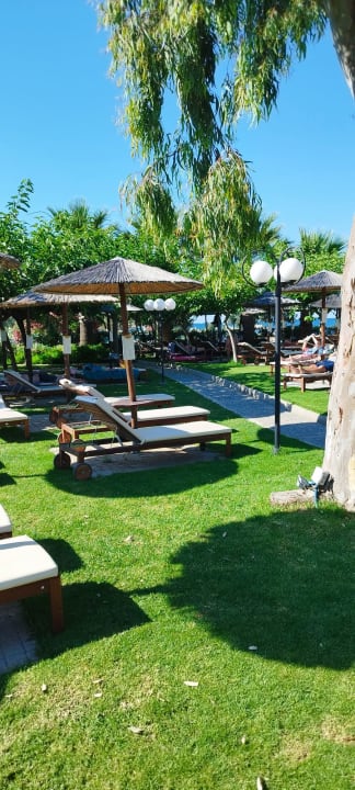 Pool Corissia Beach Hotel