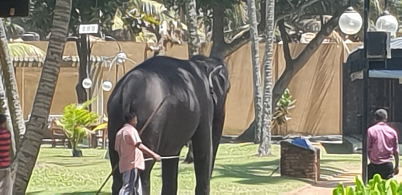 Sonstiges Royal Palms Beach Hotel