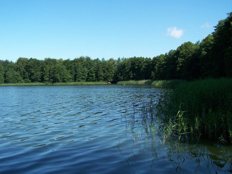Angelclub direkt nebendran Ferienpark am Wangnitzsee