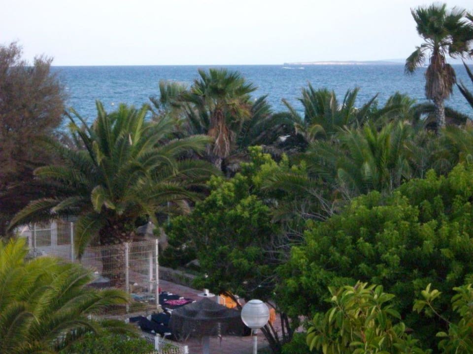 Hotel Fiesta Palm Beach Grand Palladium White Island Resort & Spa