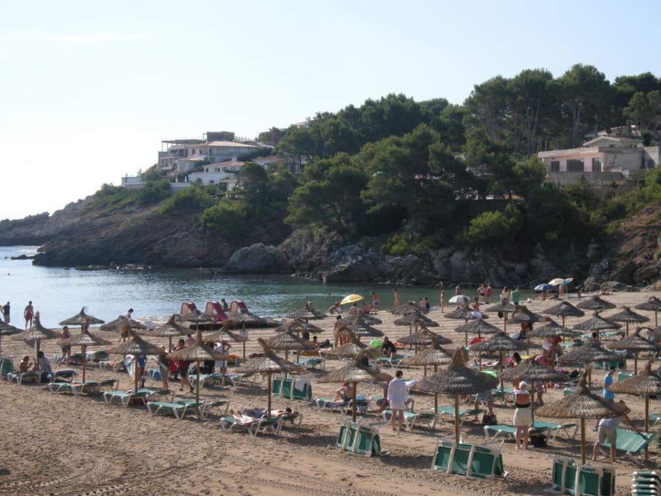Der Strand Iberostar Waves Pinos Park