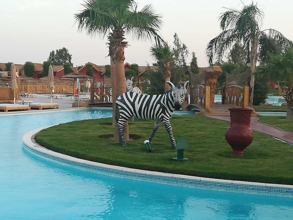 Gartenanlage Pickalbatros Jungle Aqua Park Resort - Neverland Hurghada