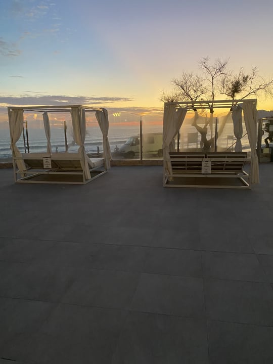 Gartenanlage Caprice Concord