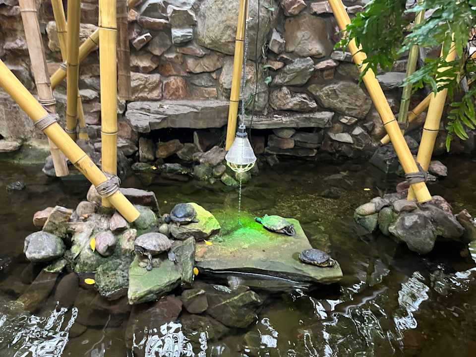 Gartenanlage Center Parcs Het Heijderbos