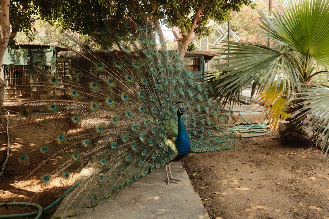 Sport & Freizeit Justiniano Park Conti