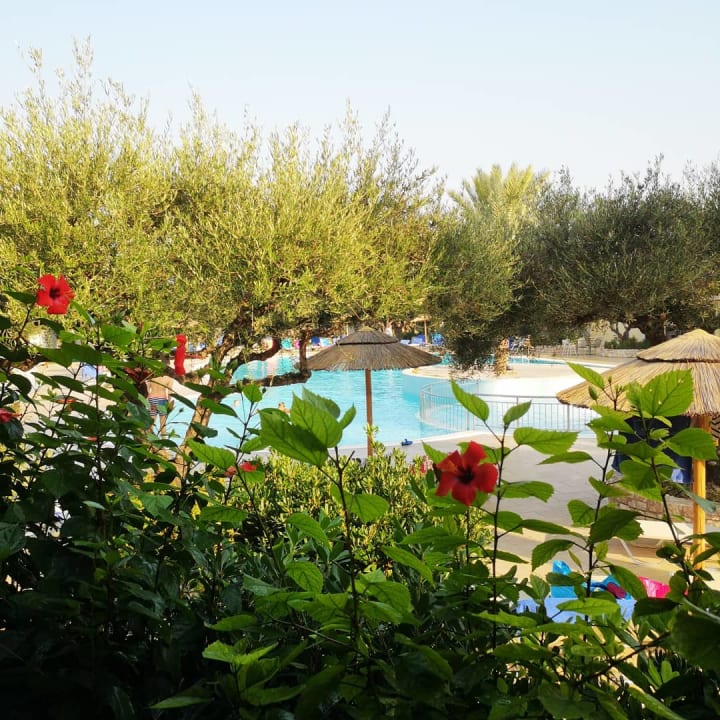 Gastro TUI KIDS CLUB Alex Beach