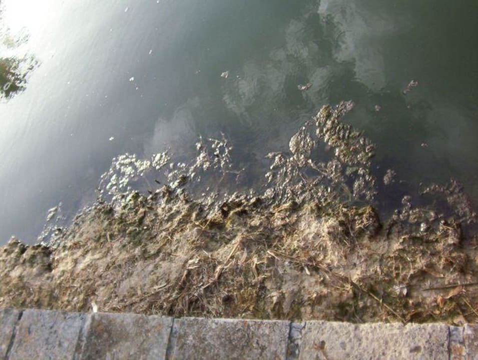 Eden Lago VIVA Eden Lago