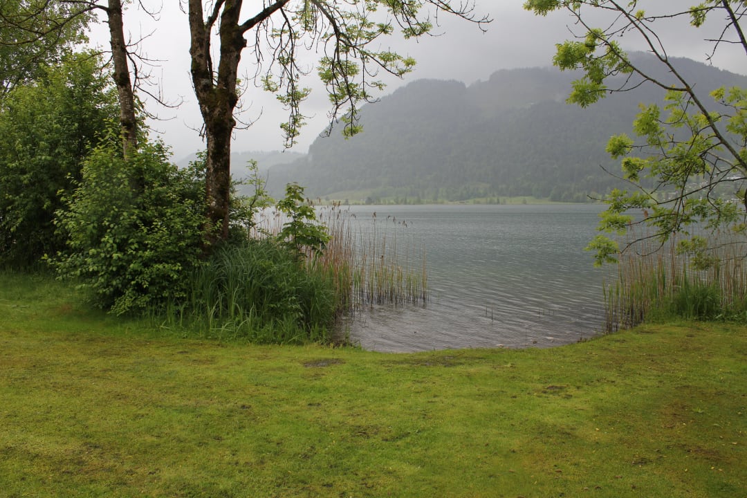 Blick über den See Hotel Bellevue am See
