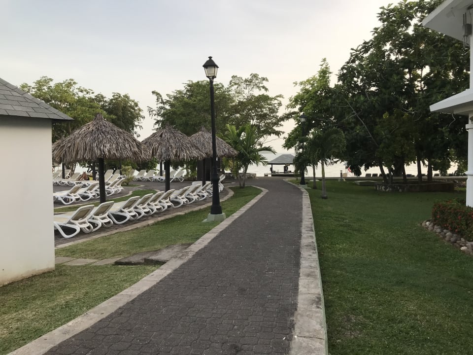 Gartenanlage Hotel Riu Negril