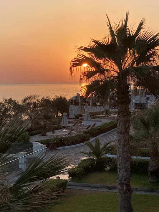 Gartenanlage Alexander Beach Hotel & Village Resort