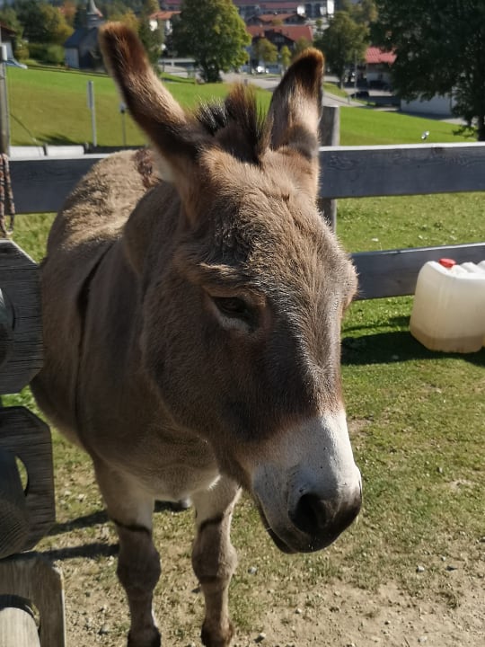 Gartenanlage Oberjoch - Familux Resort