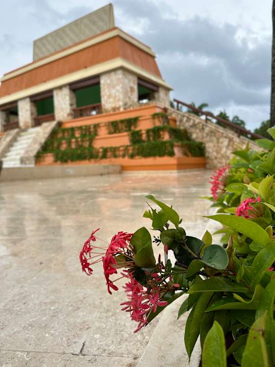 Pool Iberostar Selection Paraiso Lindo
