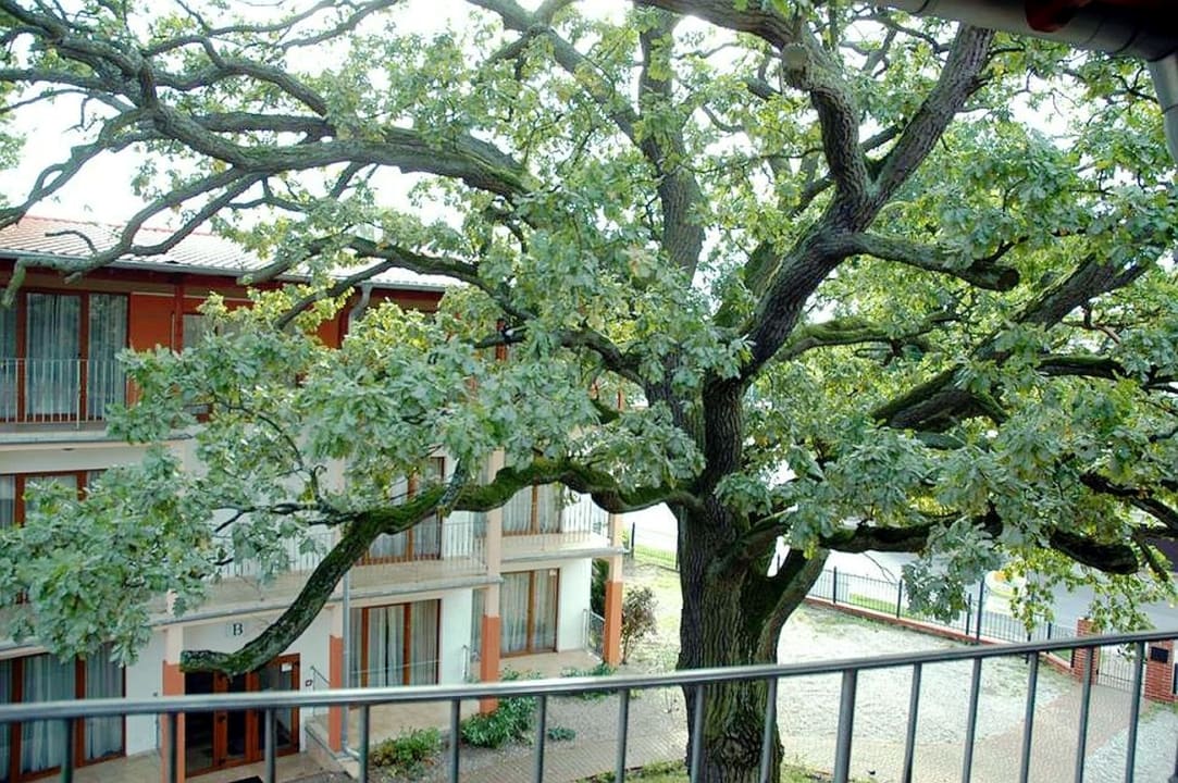 Gartenanlage Hotel Rezydencja 5 Dębów