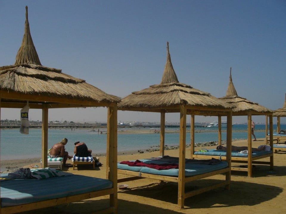Liegen am Strand Pickalbatros Dana Beach Resort - Hurghada