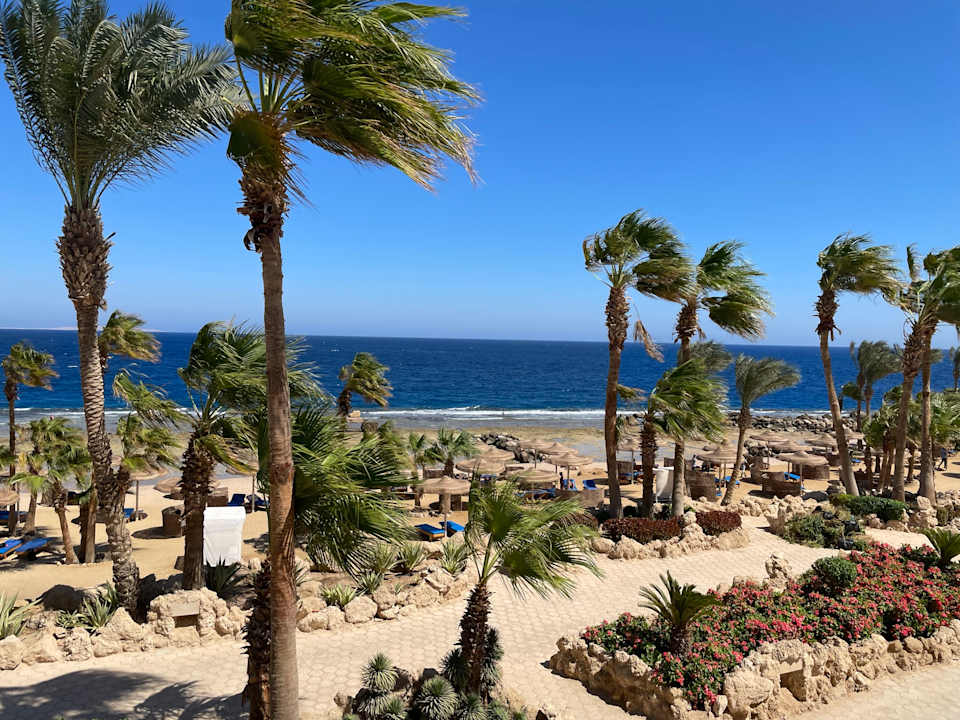 Ausblick Pickalbatros Citadel Resort