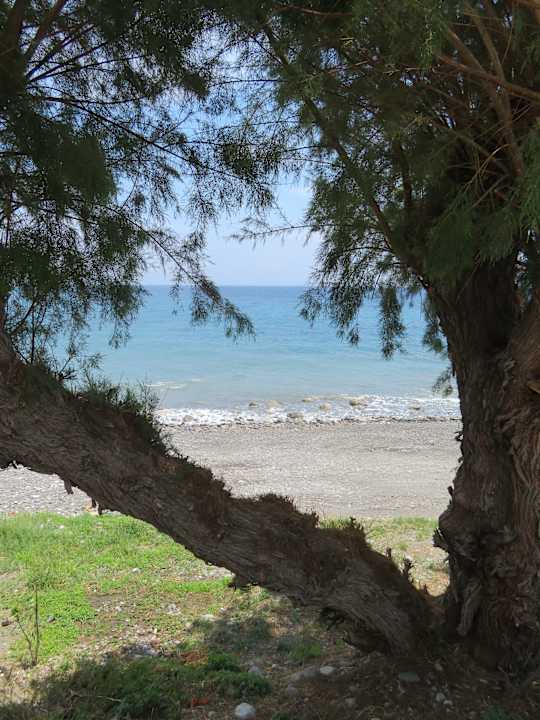 Ausblick Dimitra Beach Hotel & Suites