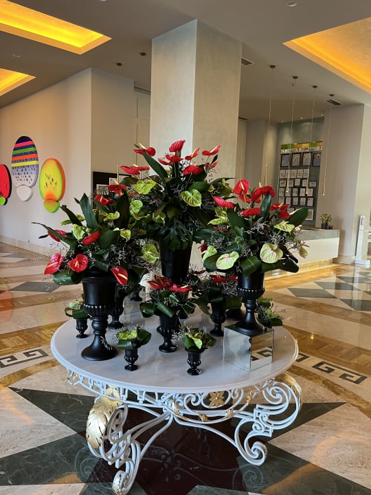Lobby Arum Barut Collection