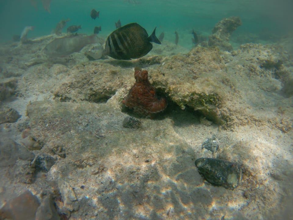 Strand Three Corners Sea Beach Resort