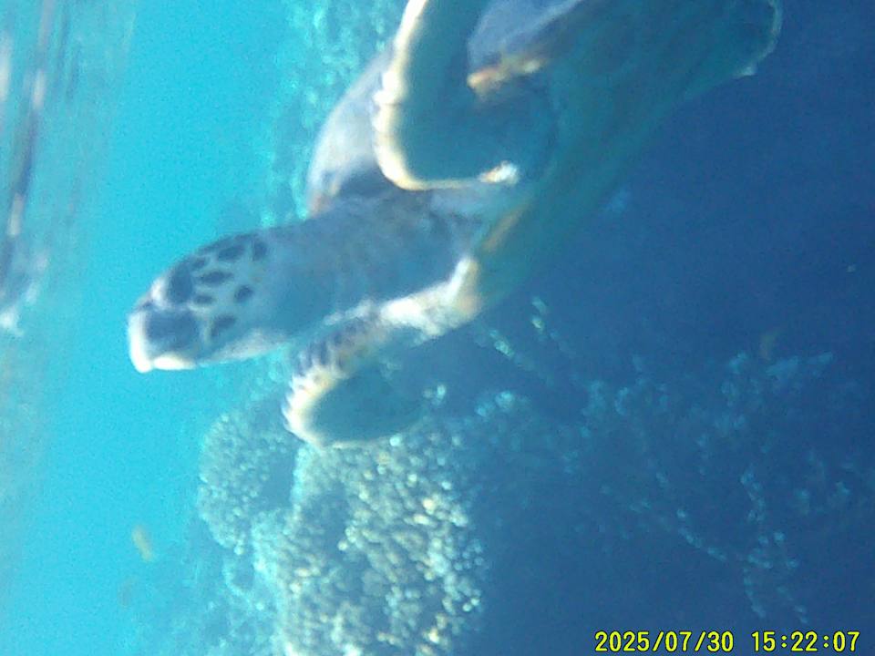 Sonstiges Sentido Naga Bay
