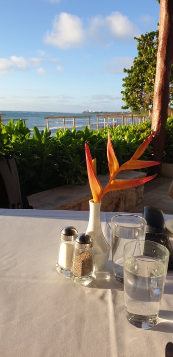 Gastro Akumal Bay Beach & Wellness Resort