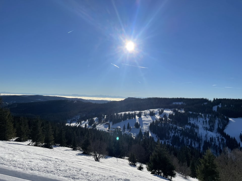 Ausblick Familotel Hotel Feldberger Hof