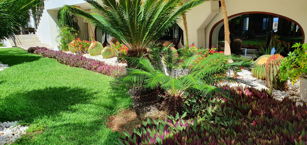 Gartenanlage Hotel ValleMar