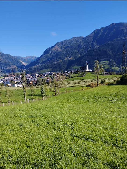 Ausblick Hotel Silberfux