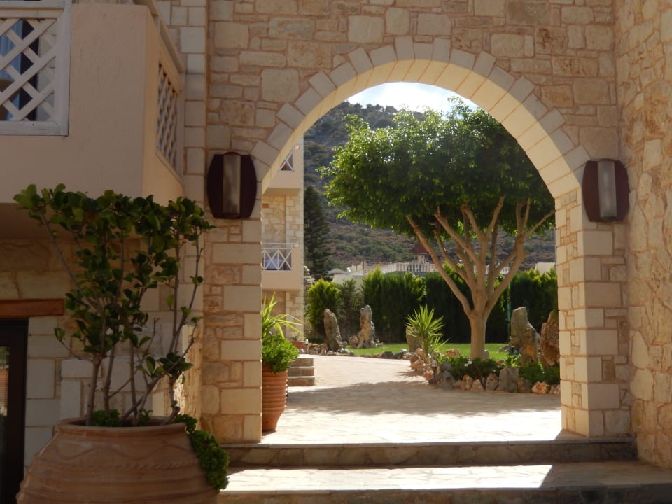 Gartenanlage Cactus Royal