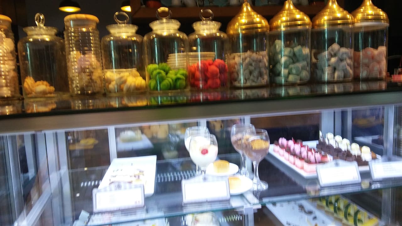 Gastro Acanthus Cennet Barut Collection