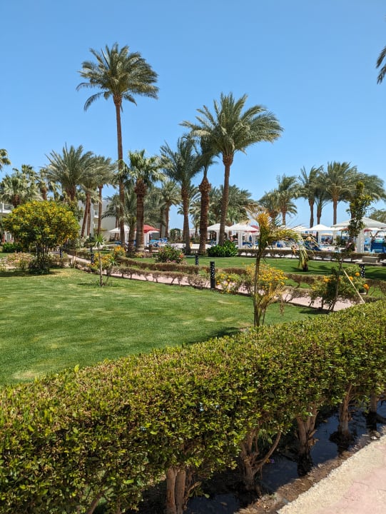 Gartenanlage Amarina Abu Soma Resort & Aquapark