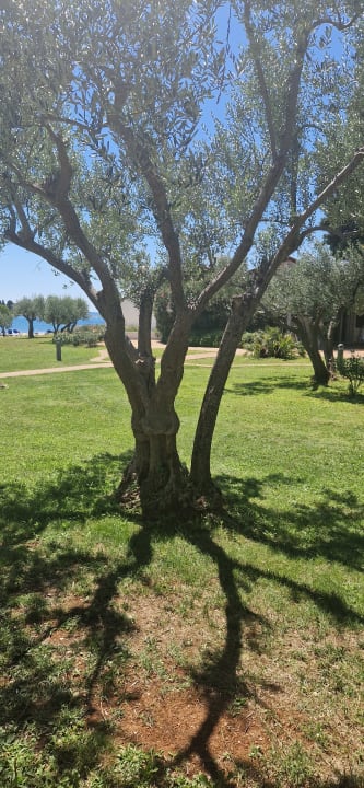 Gartenanlage Maistra Select Villas Rubin Resort